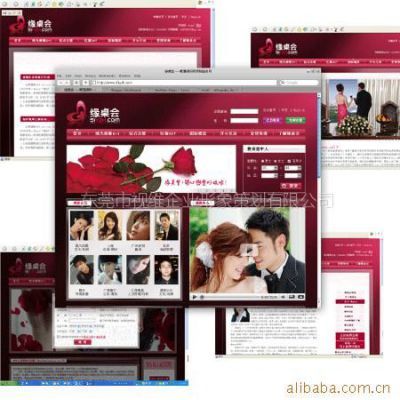 供应提供网页设计 品牌网站设计 东莞网页设计 服务